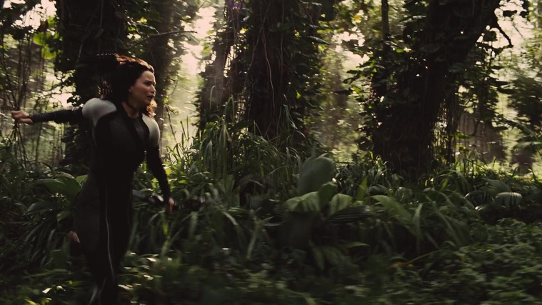 The_Hunger_Games_Catching_Fire_2013_1080p_BluRay_x264_AAC_-_Ozlem_09393.jpg