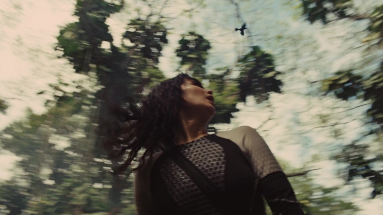 The_Hunger_Games_Catching_Fire_2013_1080p_BluRay_x264_AAC_-_Ozlem_09398.jpg