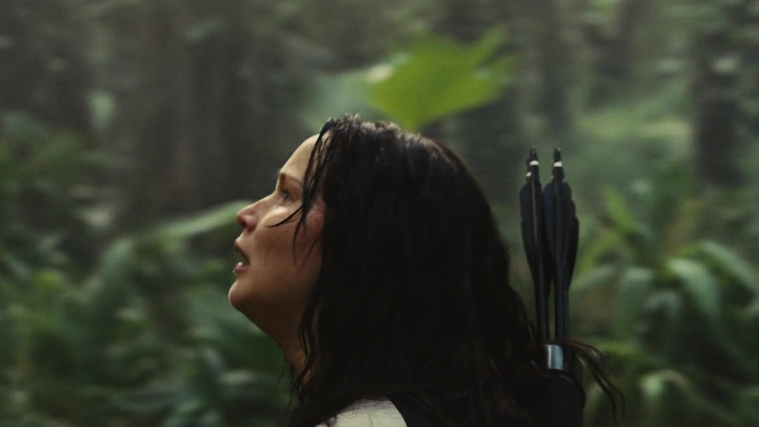 The_Hunger_Games_Catching_Fire_2013_1080p_BluRay_x264_AAC_-_Ozlem_09411.jpg