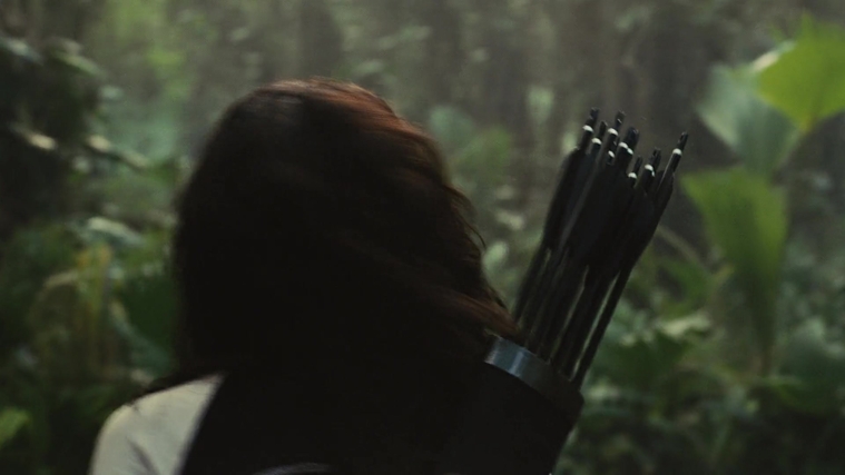 The_Hunger_Games_Catching_Fire_2013_1080p_BluRay_x264_AAC_-_Ozlem_09412.jpg