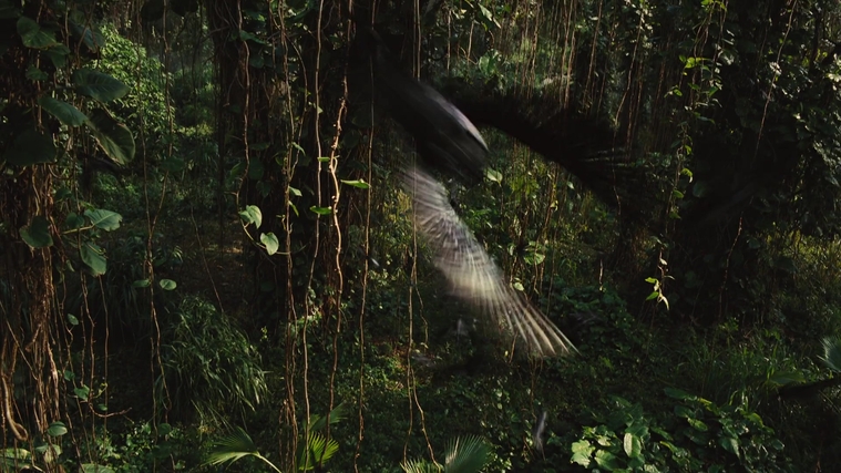 The_Hunger_Games_Catching_Fire_2013_1080p_BluRay_x264_AAC_-_Ozlem_09454.jpg