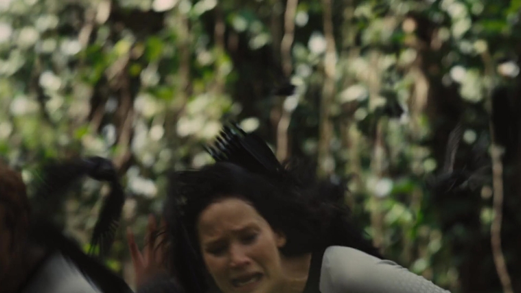 The_Hunger_Games_Catching_Fire_2013_1080p_BluRay_x264_AAC_-_Ozlem_09459.jpg