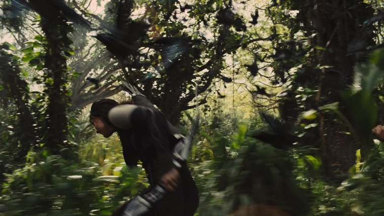 The_Hunger_Games_Catching_Fire_2013_1080p_BluRay_x264_AAC_-_Ozlem_09464.jpg