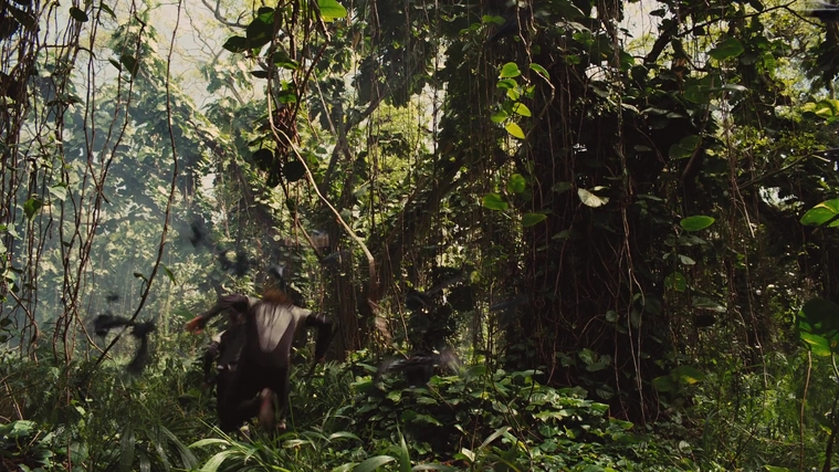 The_Hunger_Games_Catching_Fire_2013_1080p_BluRay_x264_AAC_-_Ozlem_09467.jpg