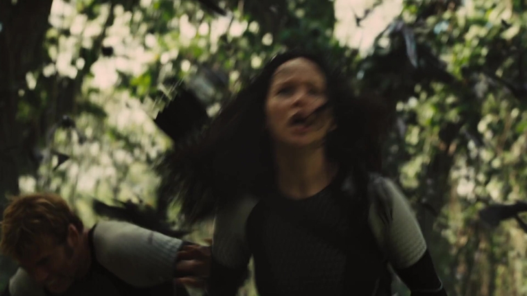 The_Hunger_Games_Catching_Fire_2013_1080p_BluRay_x264_AAC_-_Ozlem_09470.jpg