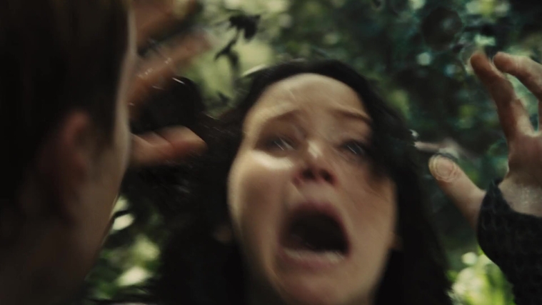 The_Hunger_Games_Catching_Fire_2013_1080p_BluRay_x264_AAC_-_Ozlem_09483.jpg