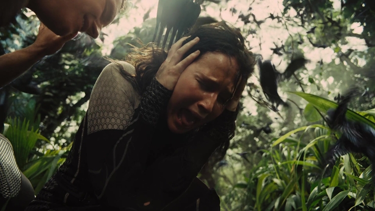 The_Hunger_Games_Catching_Fire_2013_1080p_BluRay_x264_AAC_-_Ozlem_09495.jpg