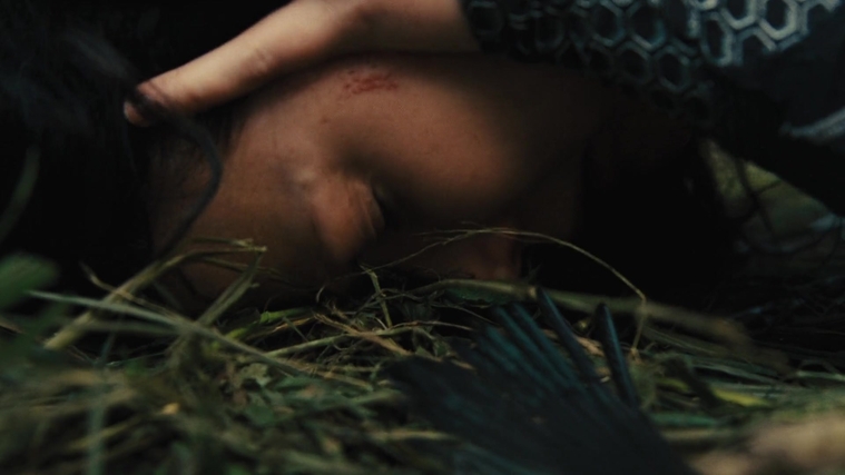 The_Hunger_Games_Catching_Fire_2013_1080p_BluRay_x264_AAC_-_Ozlem_09498.jpg