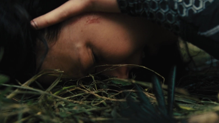 The_Hunger_Games_Catching_Fire_2013_1080p_BluRay_x264_AAC_-_Ozlem_09500.jpg