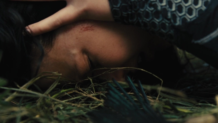 The_Hunger_Games_Catching_Fire_2013_1080p_BluRay_x264_AAC_-_Ozlem_09501.jpg