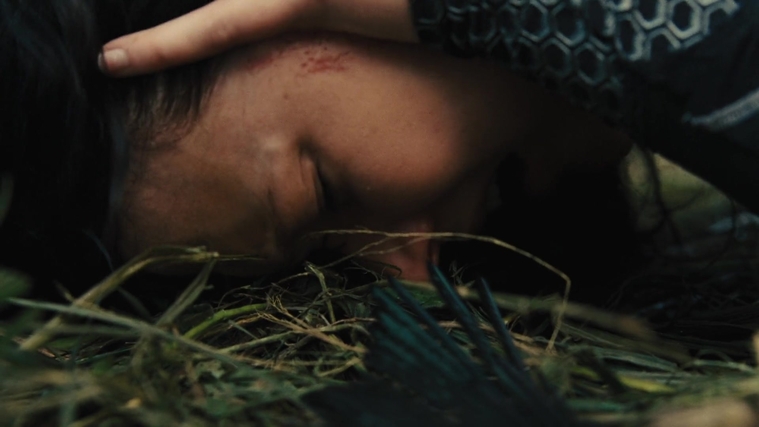 The_Hunger_Games_Catching_Fire_2013_1080p_BluRay_x264_AAC_-_Ozlem_09502.jpg