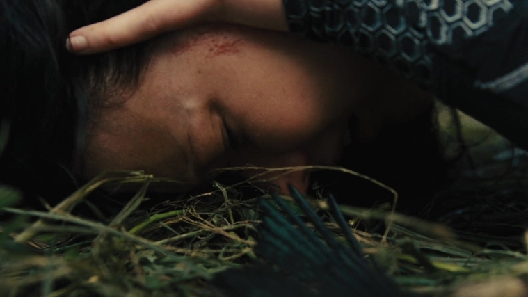 The_Hunger_Games_Catching_Fire_2013_1080p_BluRay_x264_AAC_-_Ozlem_09503.jpg