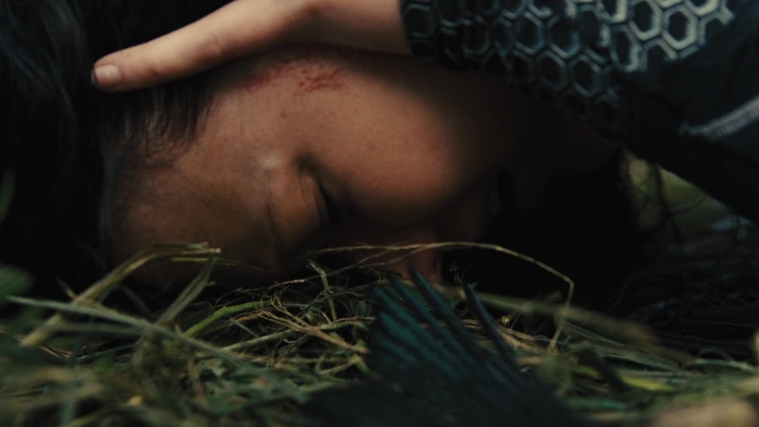 The_Hunger_Games_Catching_Fire_2013_1080p_BluRay_x264_AAC_-_Ozlem_09504.jpg