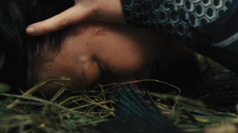 The_Hunger_Games_Catching_Fire_2013_1080p_BluRay_x264_AAC_-_Ozlem_09505.jpg