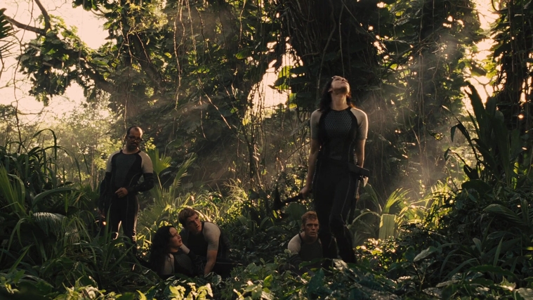 The_Hunger_Games_Catching_Fire_2013_1080p_BluRay_x264_AAC_-_Ozlem_09546.jpg