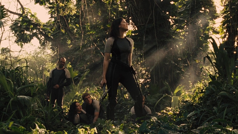 The_Hunger_Games_Catching_Fire_2013_1080p_BluRay_x264_AAC_-_Ozlem_09548.jpg