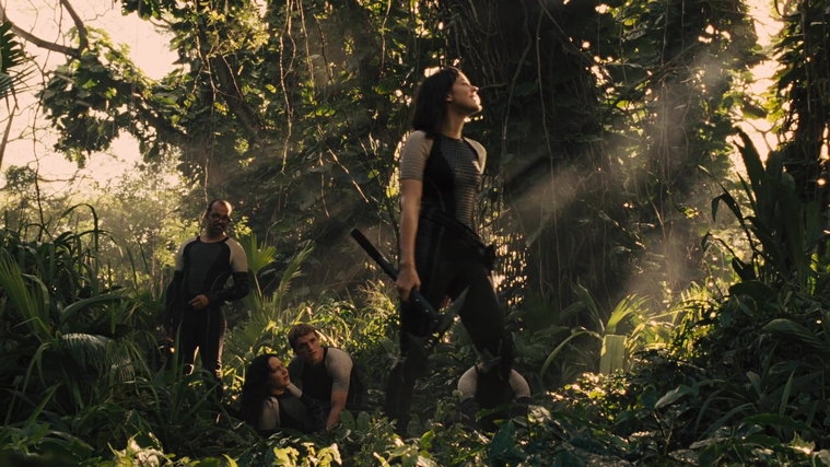 The_Hunger_Games_Catching_Fire_2013_1080p_BluRay_x264_AAC_-_Ozlem_09549.jpg