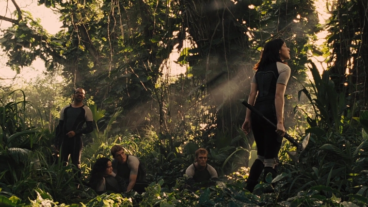 The_Hunger_Games_Catching_Fire_2013_1080p_BluRay_x264_AAC_-_Ozlem_09554.jpg