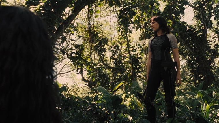 The_Hunger_Games_Catching_Fire_2013_1080p_BluRay_x264_AAC_-_Ozlem_09562.jpg