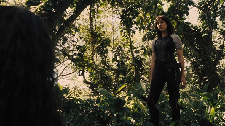 The_Hunger_Games_Catching_Fire_2013_1080p_BluRay_x264_AAC_-_Ozlem_09564.jpg