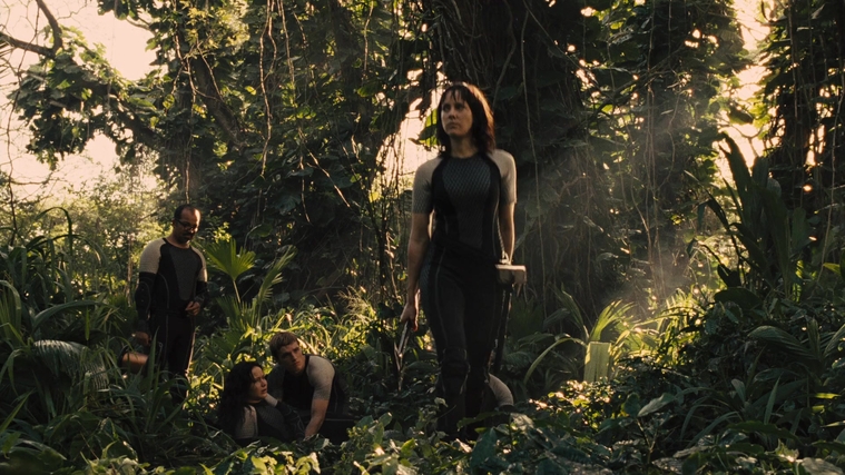 The_Hunger_Games_Catching_Fire_2013_1080p_BluRay_x264_AAC_-_Ozlem_09579.jpg