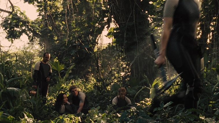 The_Hunger_Games_Catching_Fire_2013_1080p_BluRay_x264_AAC_-_Ozlem_09581.jpg