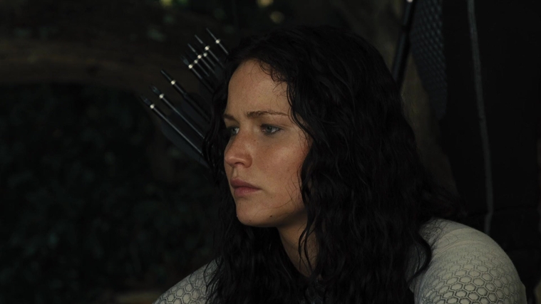 The_Hunger_Games_Catching_Fire_2013_1080p_BluRay_x264_AAC_-_Ozlem_09606.jpg