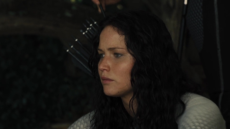 The_Hunger_Games_Catching_Fire_2013_1080p_BluRay_x264_AAC_-_Ozlem_09607.jpg