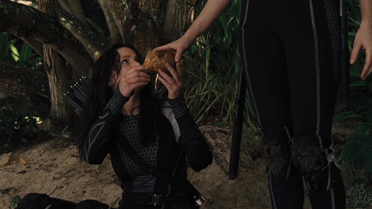 The_Hunger_Games_Catching_Fire_2013_1080p_BluRay_x264_AAC_-_Ozlem_09615.jpg