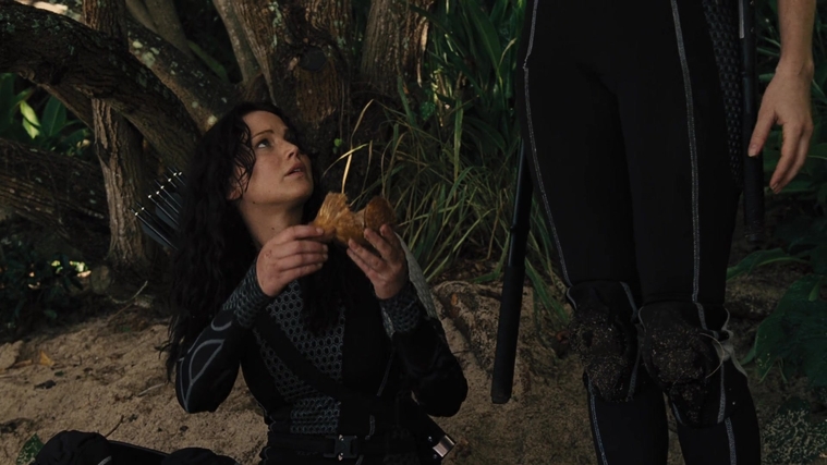 The_Hunger_Games_Catching_Fire_2013_1080p_BluRay_x264_AAC_-_Ozlem_09616.jpg