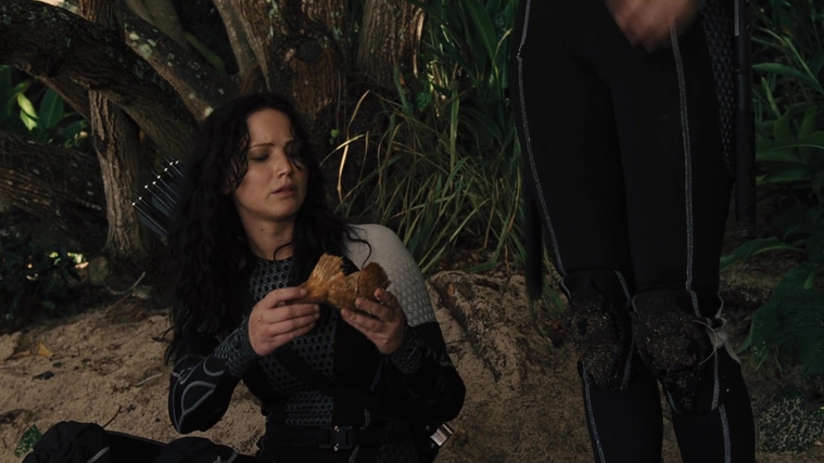 The_Hunger_Games_Catching_Fire_2013_1080p_BluRay_x264_AAC_-_Ozlem_09617.jpg