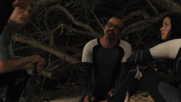 The_Hunger_Games_Catching_Fire_2013_1080p_BluRay_x264_AAC_-_Ozlem_09712.jpg