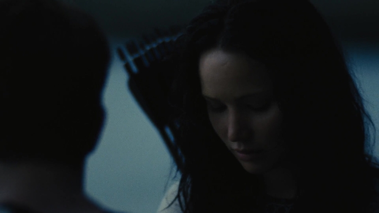 The_Hunger_Games_Catching_Fire_2013_1080p_BluRay_x264_AAC_-_Ozlem_10027.jpg