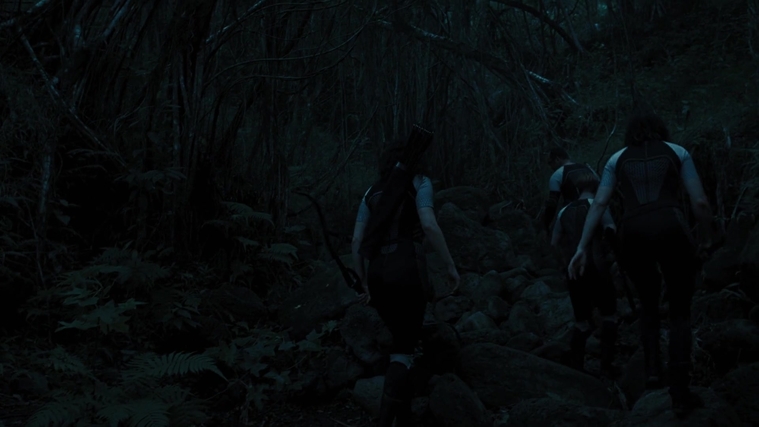 The_Hunger_Games_Catching_Fire_2013_1080p_BluRay_x264_AAC_-_Ozlem_10098.jpg