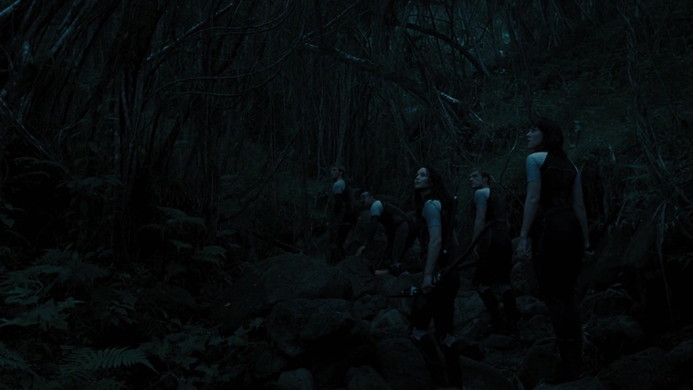 The_Hunger_Games_Catching_Fire_2013_1080p_BluRay_x264_AAC_-_Ozlem_10102.jpg