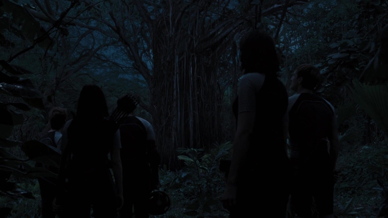 The_Hunger_Games_Catching_Fire_2013_1080p_BluRay_x264_AAC_-_Ozlem_10169.jpg