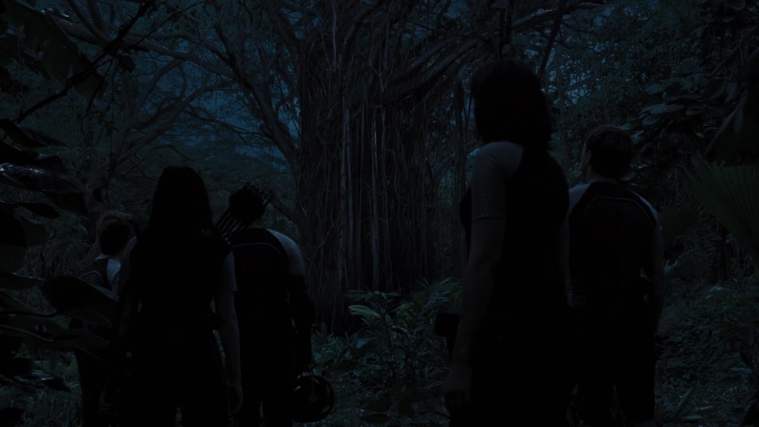 The_Hunger_Games_Catching_Fire_2013_1080p_BluRay_x264_AAC_-_Ozlem_10170.jpg
