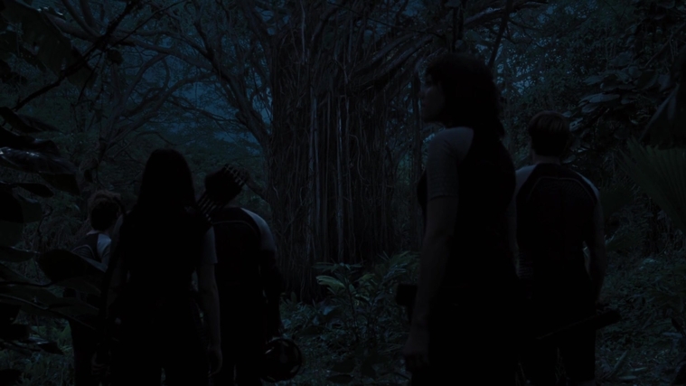 The_Hunger_Games_Catching_Fire_2013_1080p_BluRay_x264_AAC_-_Ozlem_10171.jpg