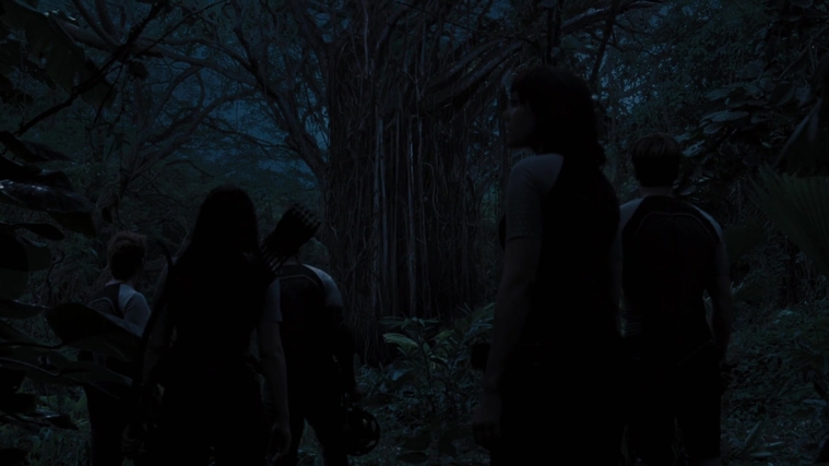 The_Hunger_Games_Catching_Fire_2013_1080p_BluRay_x264_AAC_-_Ozlem_10172.jpg