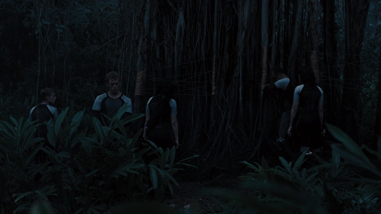 The_Hunger_Games_Catching_Fire_2013_1080p_BluRay_x264_AAC_-_Ozlem_10188.jpg