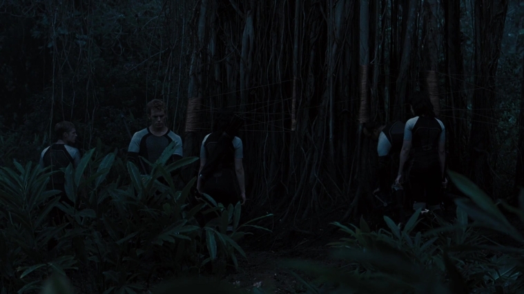 The_Hunger_Games_Catching_Fire_2013_1080p_BluRay_x264_AAC_-_Ozlem_10189.jpg