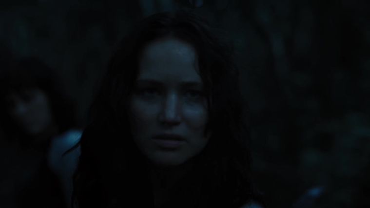 The_Hunger_Games_Catching_Fire_2013_1080p_BluRay_x264_AAC_-_Ozlem_10316.jpg