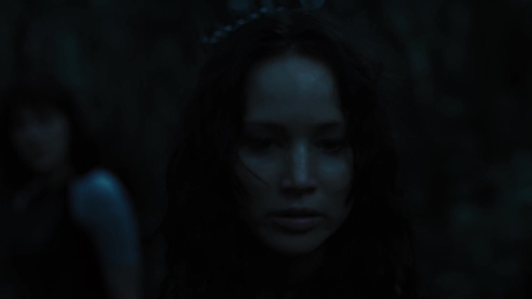 The_Hunger_Games_Catching_Fire_2013_1080p_BluRay_x264_AAC_-_Ozlem_10323.jpg