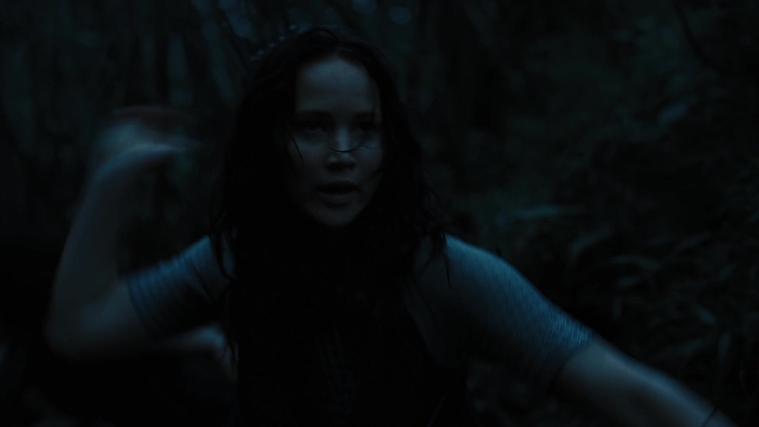 The_Hunger_Games_Catching_Fire_2013_1080p_BluRay_x264_AAC_-_Ozlem_10326.jpg