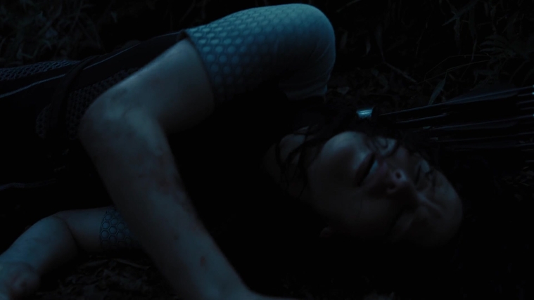 The_Hunger_Games_Catching_Fire_2013_1080p_BluRay_x264_AAC_-_Ozlem_10331.jpg