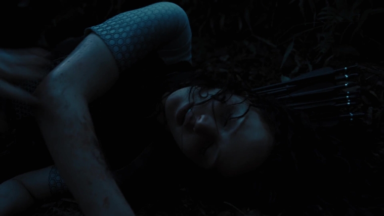 The_Hunger_Games_Catching_Fire_2013_1080p_BluRay_x264_AAC_-_Ozlem_10333.jpg
