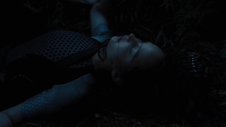 The_Hunger_Games_Catching_Fire_2013_1080p_BluRay_x264_AAC_-_Ozlem_10334.jpg