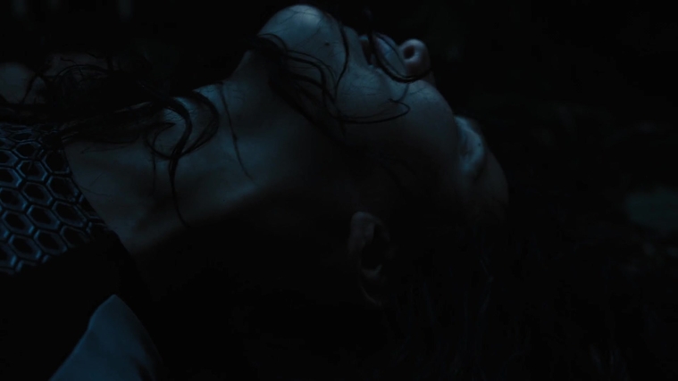 The_Hunger_Games_Catching_Fire_2013_1080p_BluRay_x264_AAC_-_Ozlem_10336.jpg