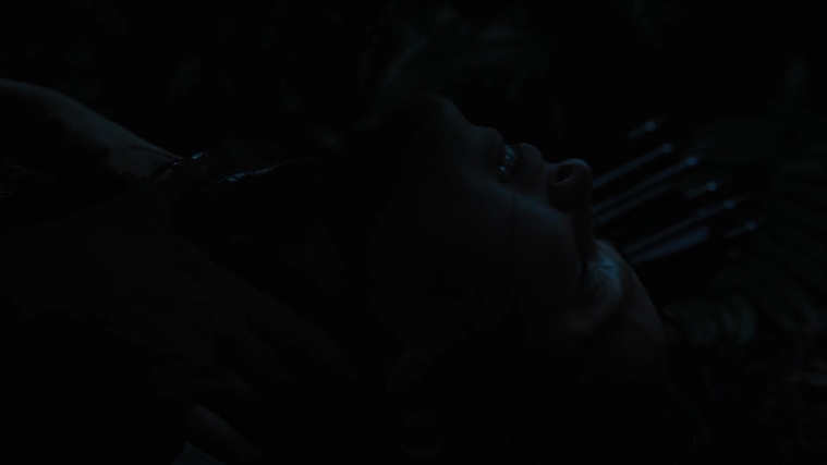 The_Hunger_Games_Catching_Fire_2013_1080p_BluRay_x264_AAC_-_Ozlem_10342.jpg