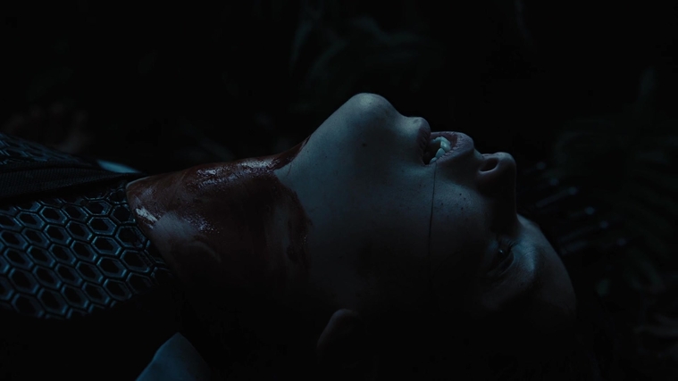 The_Hunger_Games_Catching_Fire_2013_1080p_BluRay_x264_AAC_-_Ozlem_10360.jpg